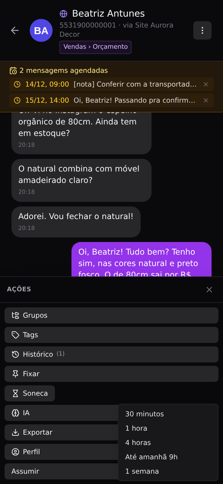 Etiquetas, grupamentos e ações — Adiar