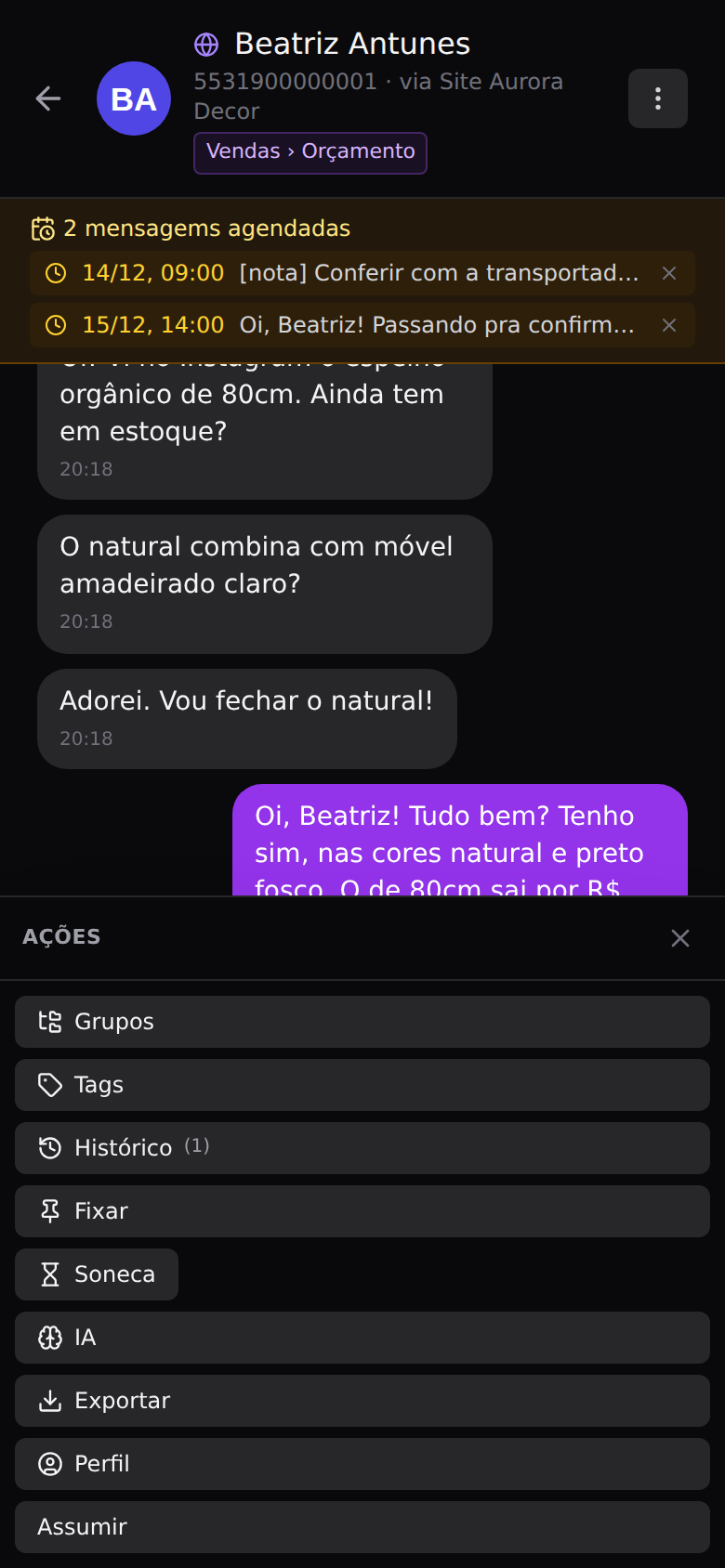 Assistente de IA — Quando a pessoa assume